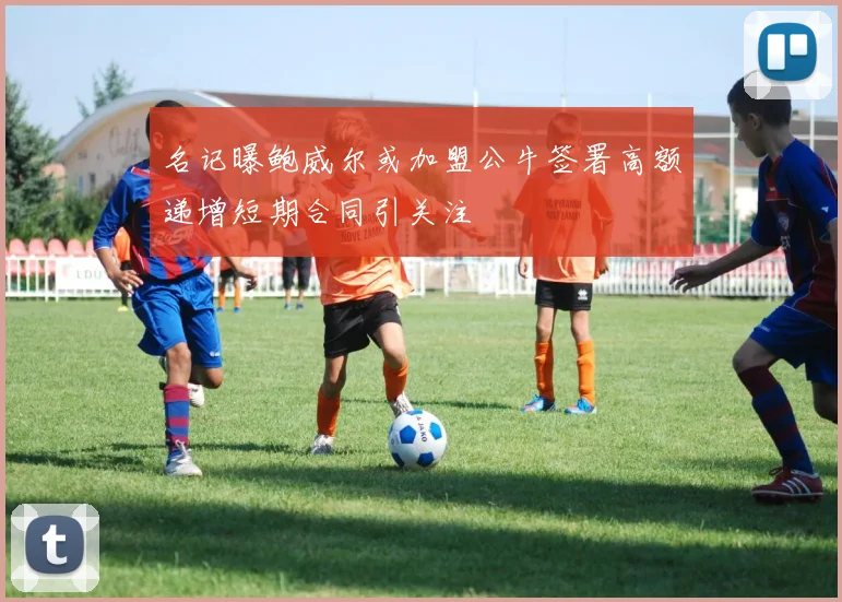名记曝鲍威尔或加盟公牛签署高额递增短期合同引关注