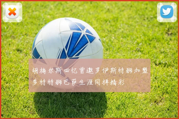 胡梅尔斯回忆曾邀罗伊斯特狮加盟多特特狮巴萨生涯同样精彩
