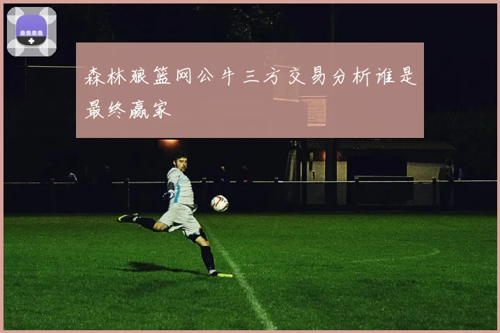 森林狼篮网公牛三方交易分析谁是最终赢家